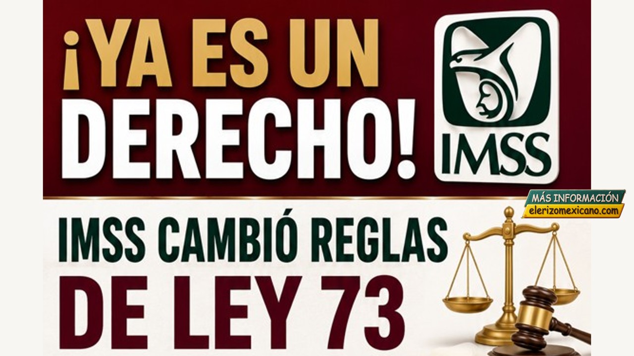 📰 El blog del Erizo Mexicano 🦔 8 Ya es un derecho MSS cambio reglas de Ley 73 y millones de pensionados